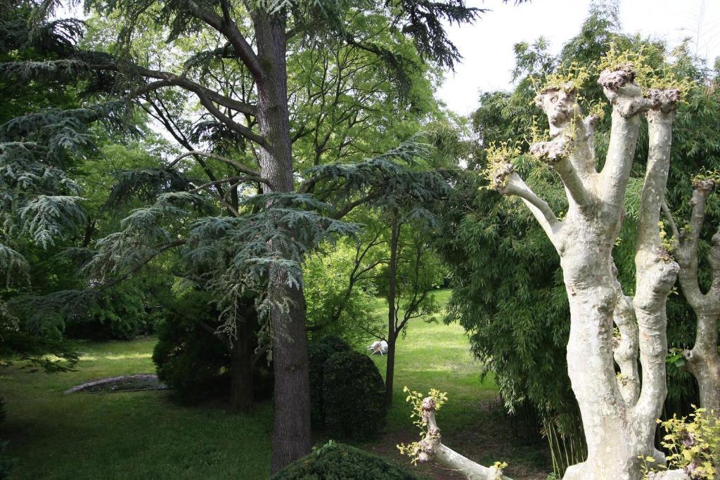L'Oree Du Château Roussillon  Ngoại thất bức ảnh